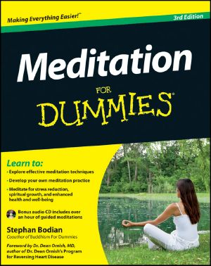 [Dummies 01] • Meditation For Dummies · 3rd Edition